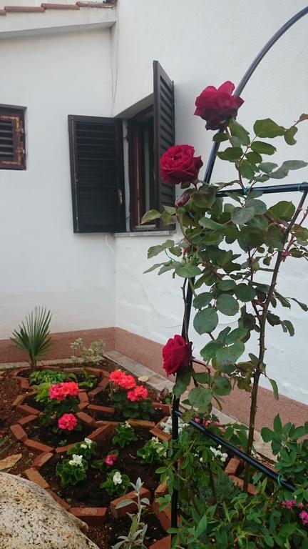 Apartment Devcic Poreč Exteriér fotografie